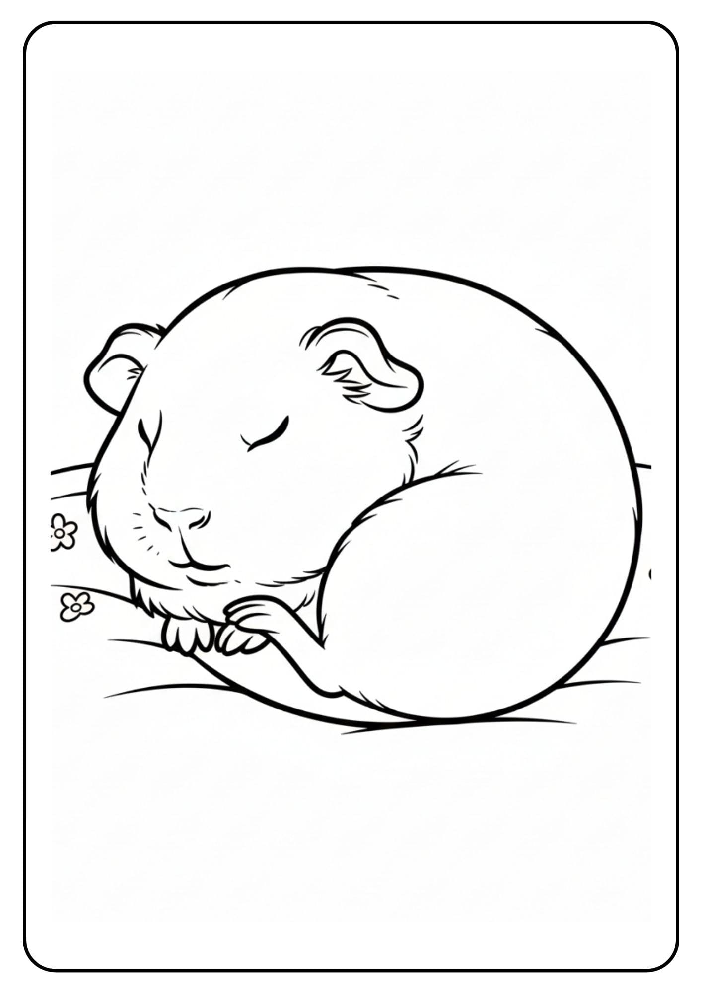 Cavia schattig slapend