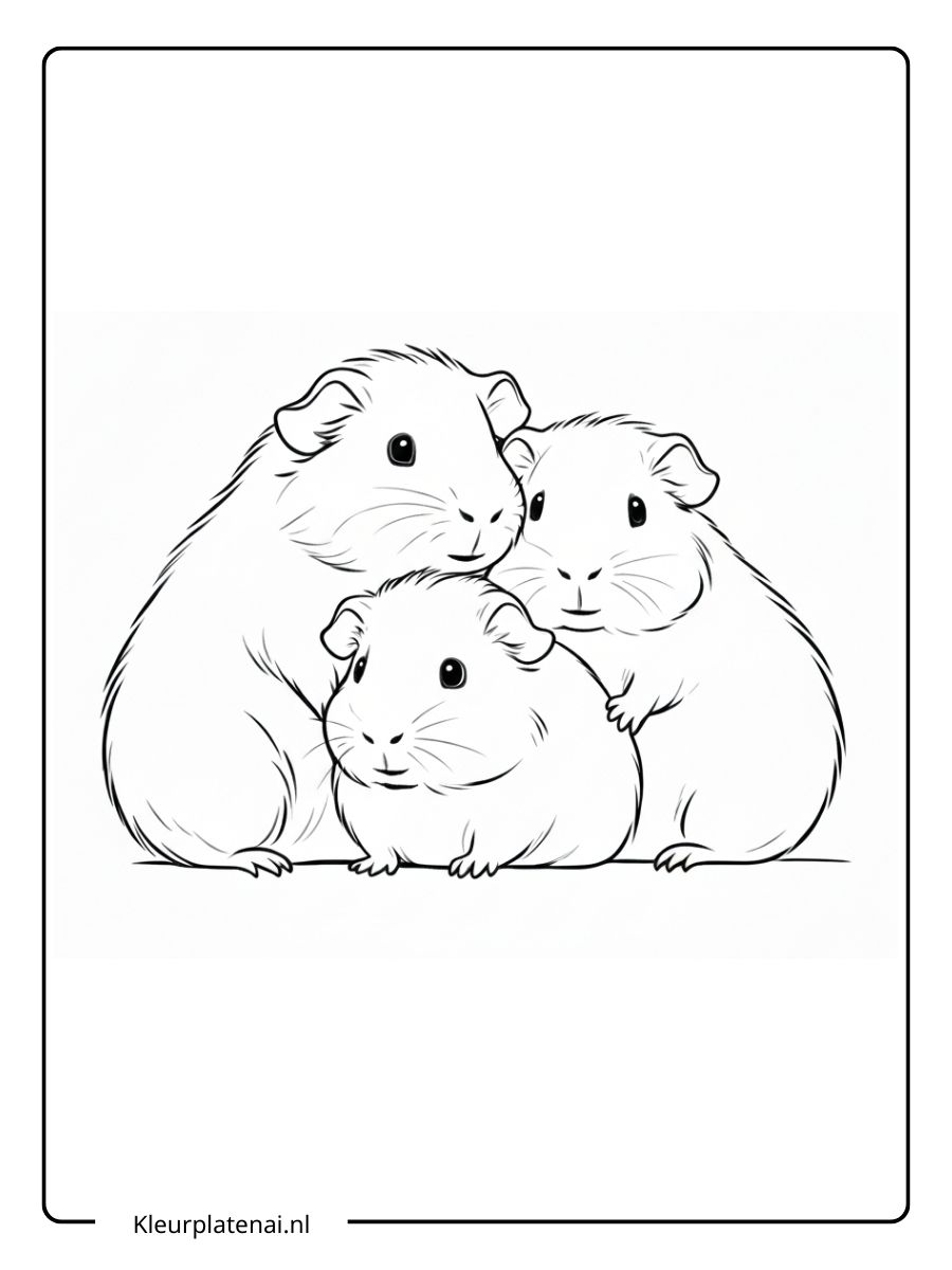 Kleurplaat Cavia Schattig (5)