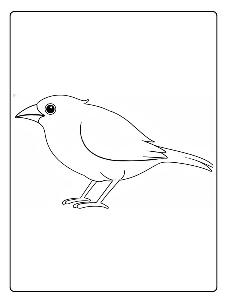 Eenvoudige omtrek van een kleine vogel Kleurplaat vogel