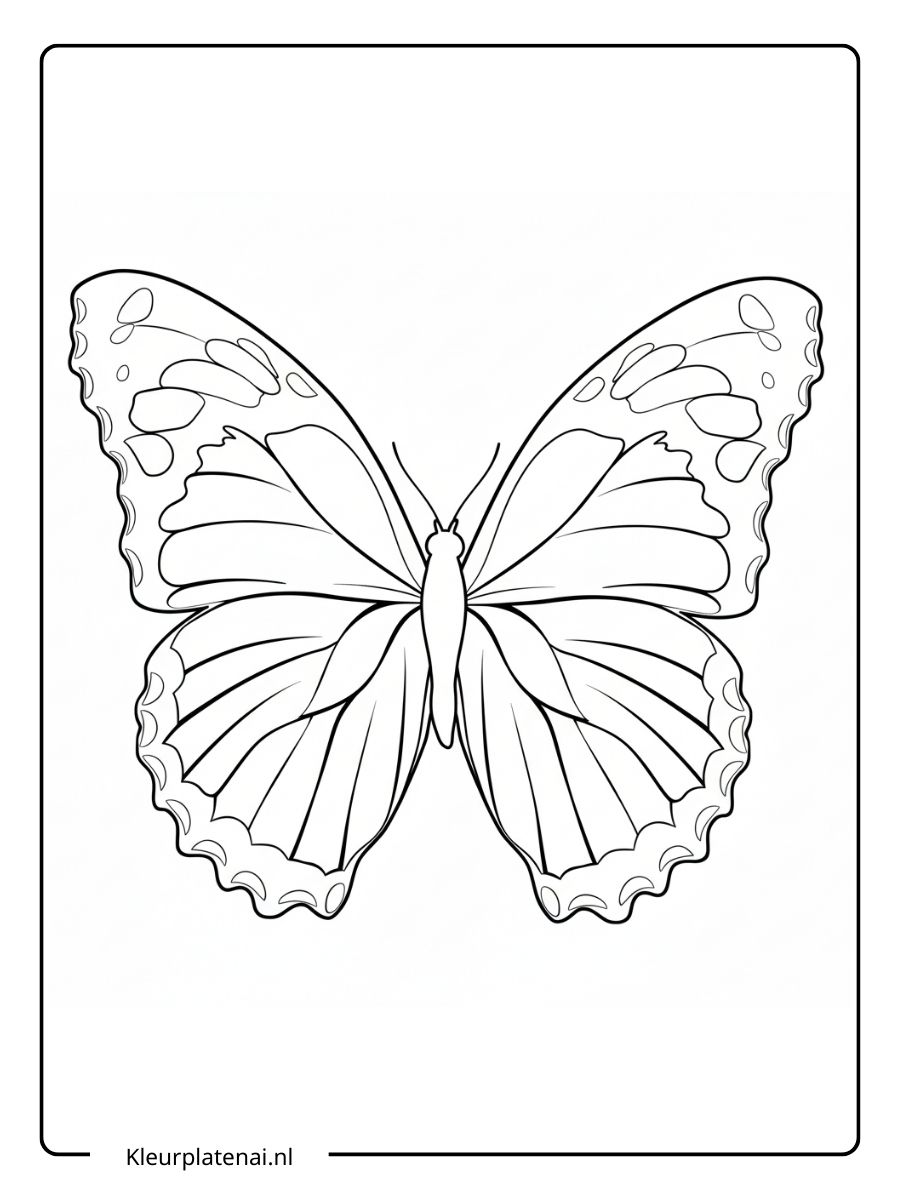 Kleurplaat Vlinder (15)