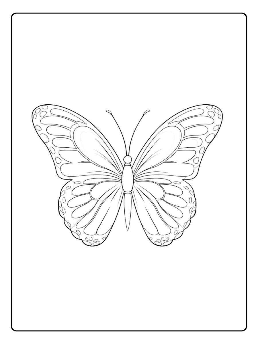 kleurplaat vlinder eenvoudige vlinder lijntekening
