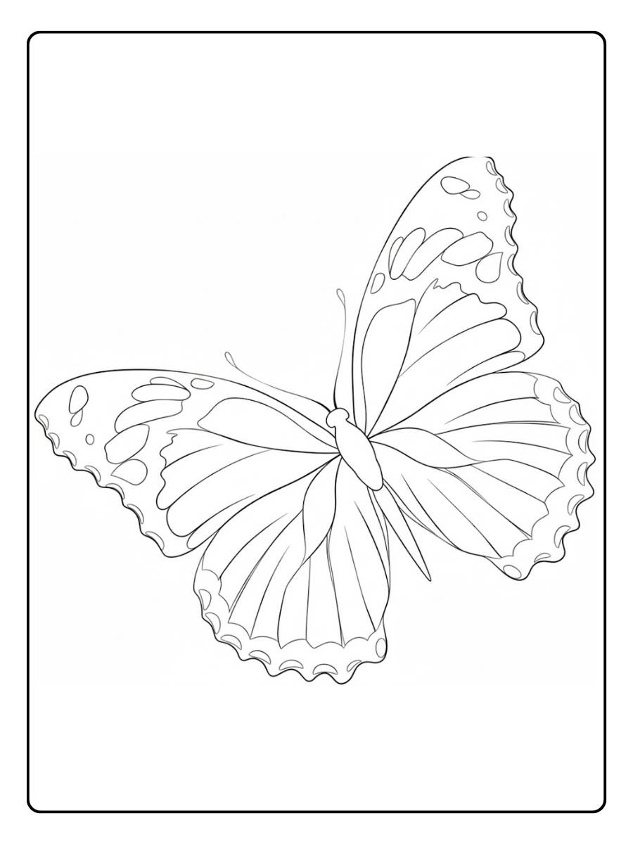 kleurplaat vlinder elegante vlinder vliegend