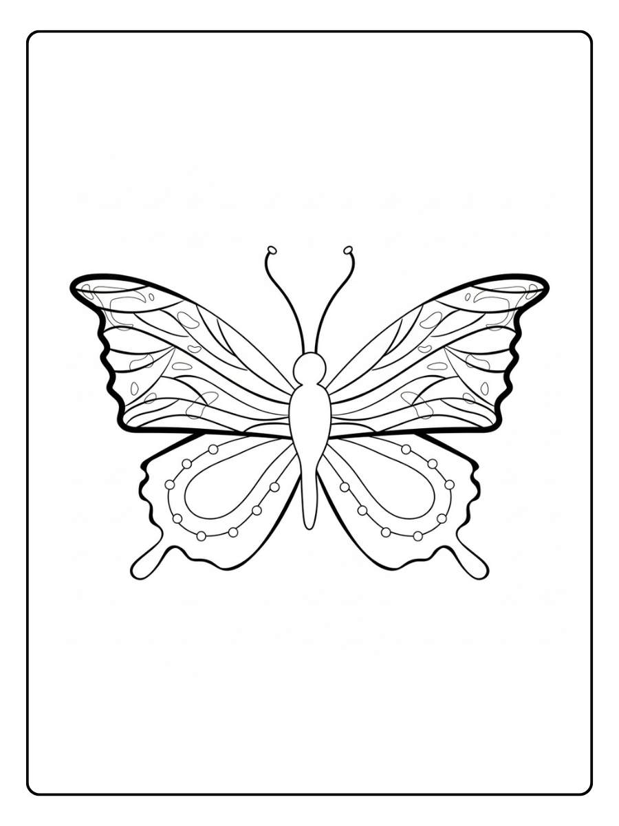 kleurplaat vlinder realistische vlinder contour