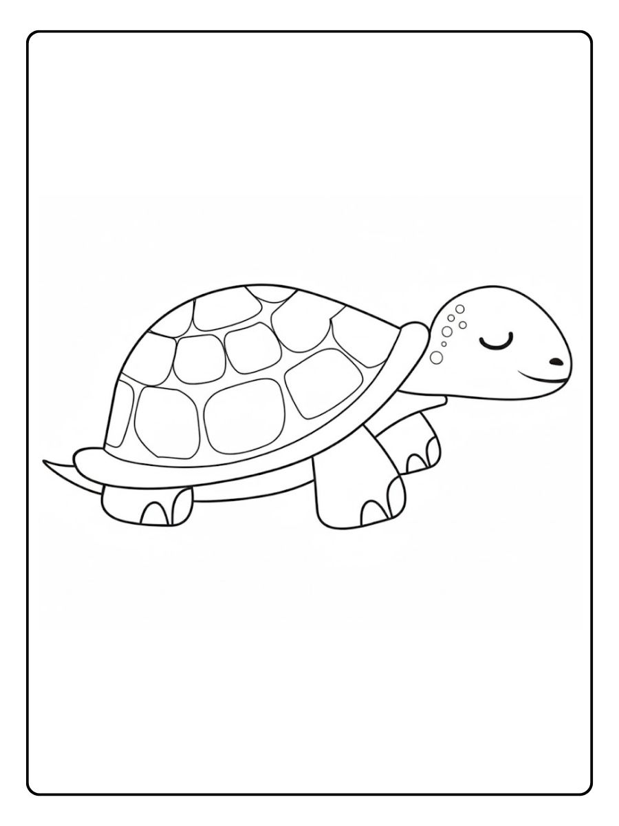 schildpad kleurplaat eenvoudige schildpad zijaanzicht
