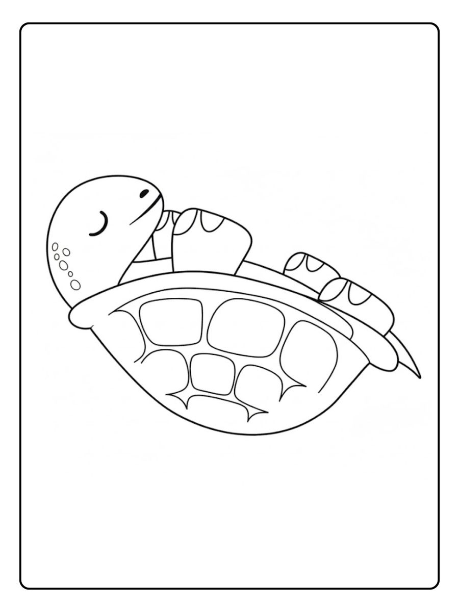 schildpad kleurplaat slapende schildpad baby