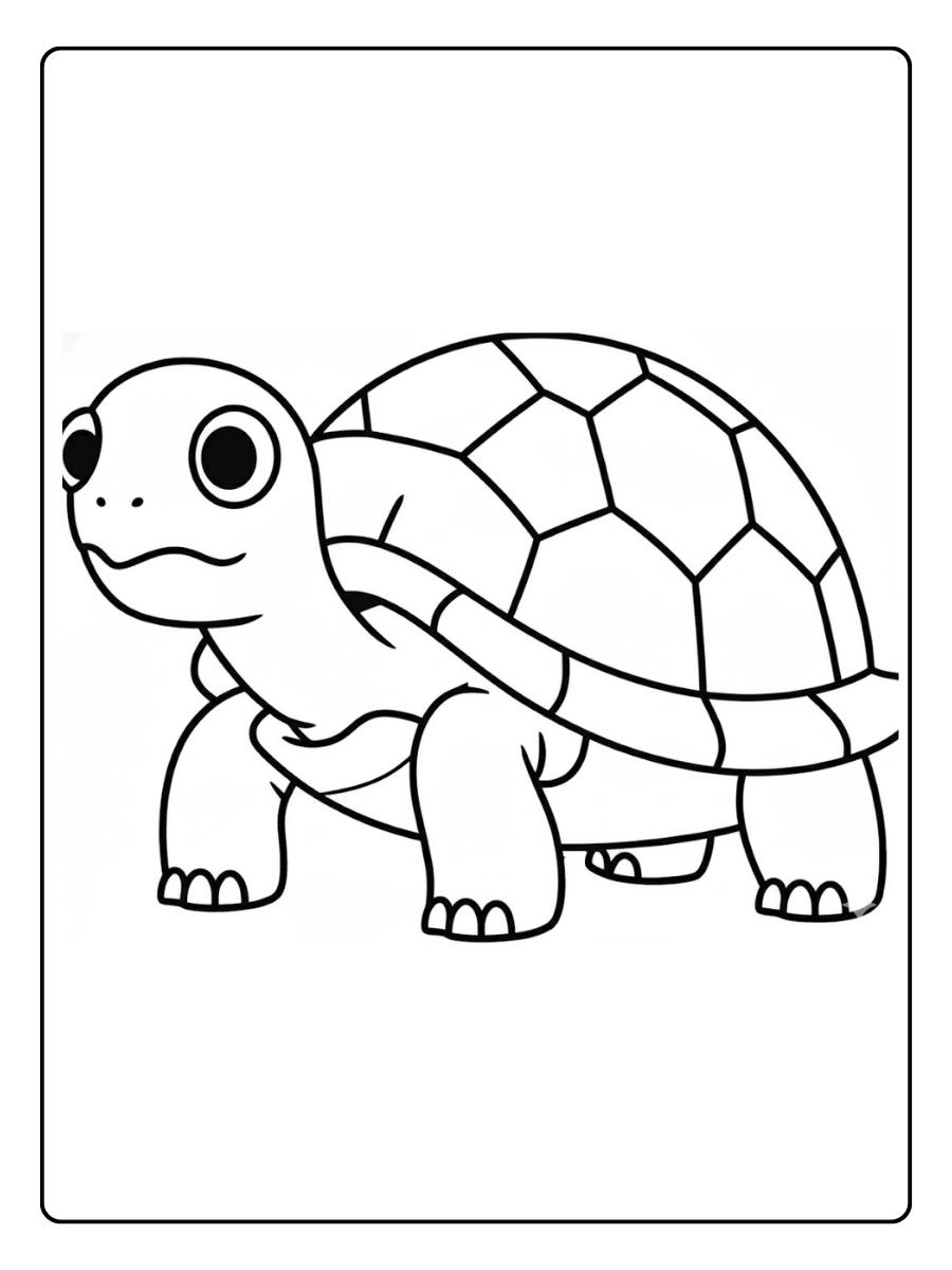 schildpad kleurplaat vrolijke schildpad lopend
